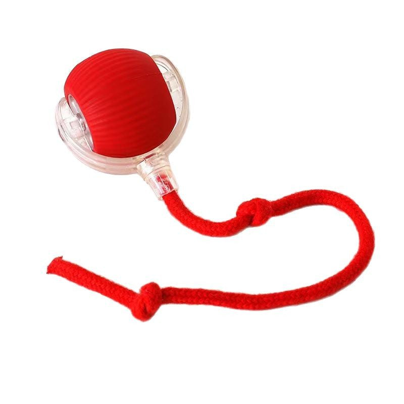 Pawscube pet interactive ball self-entertainment artifact